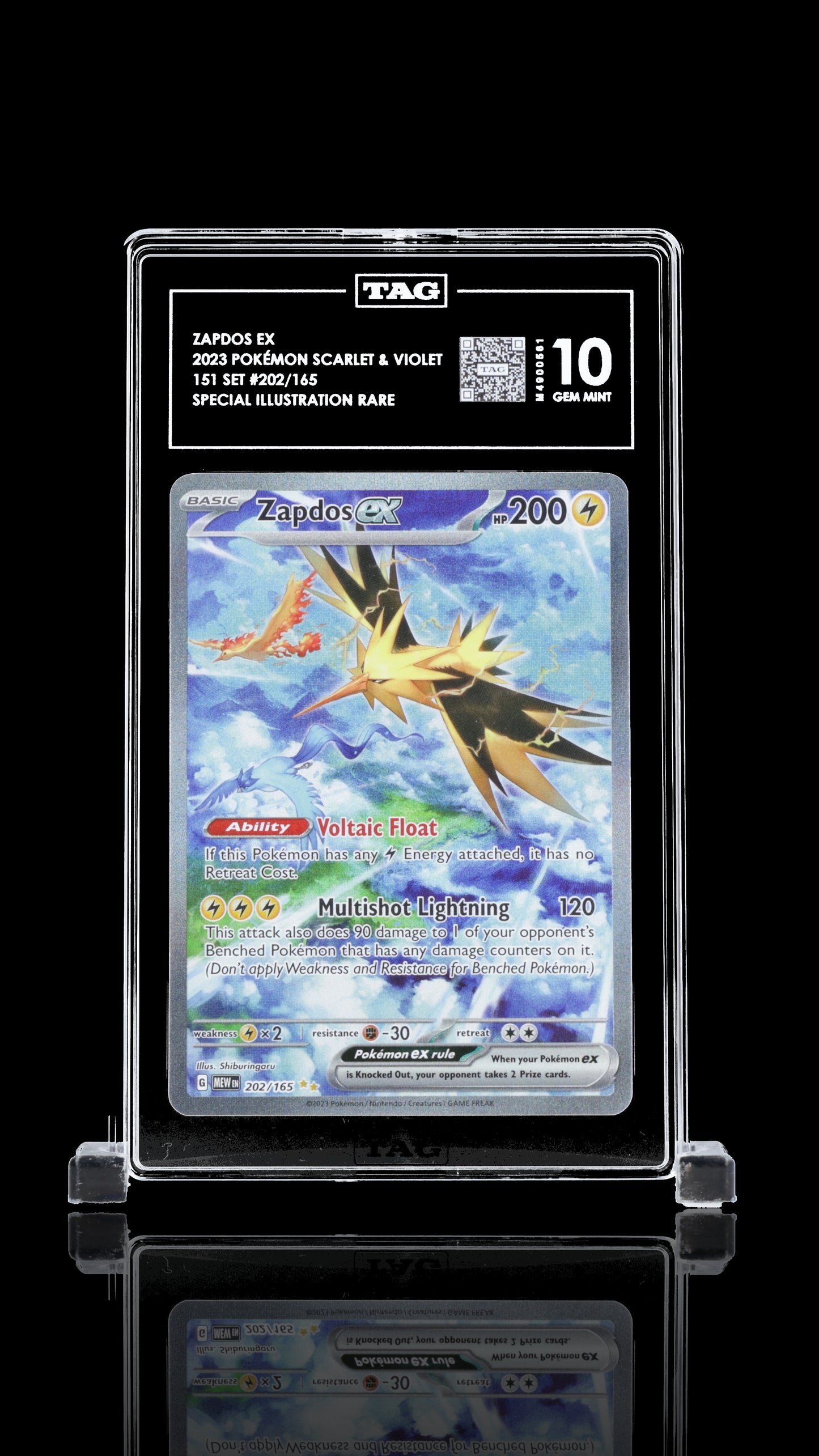TAG10- zapdos ex -#202 (39T)